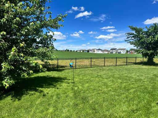 1562 Edgebrook Lane, Carver, MN 55315
