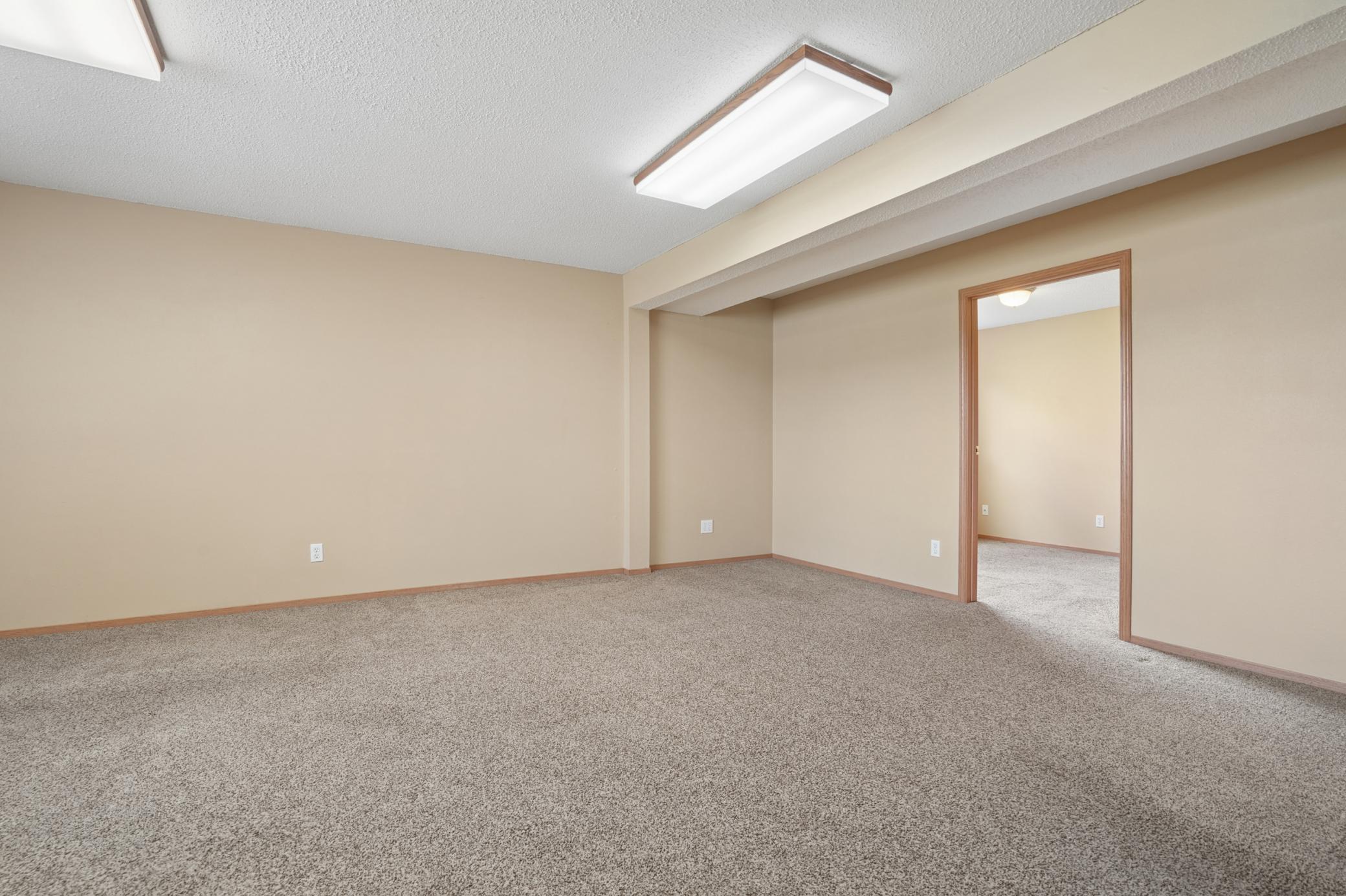 Lower Living Room
