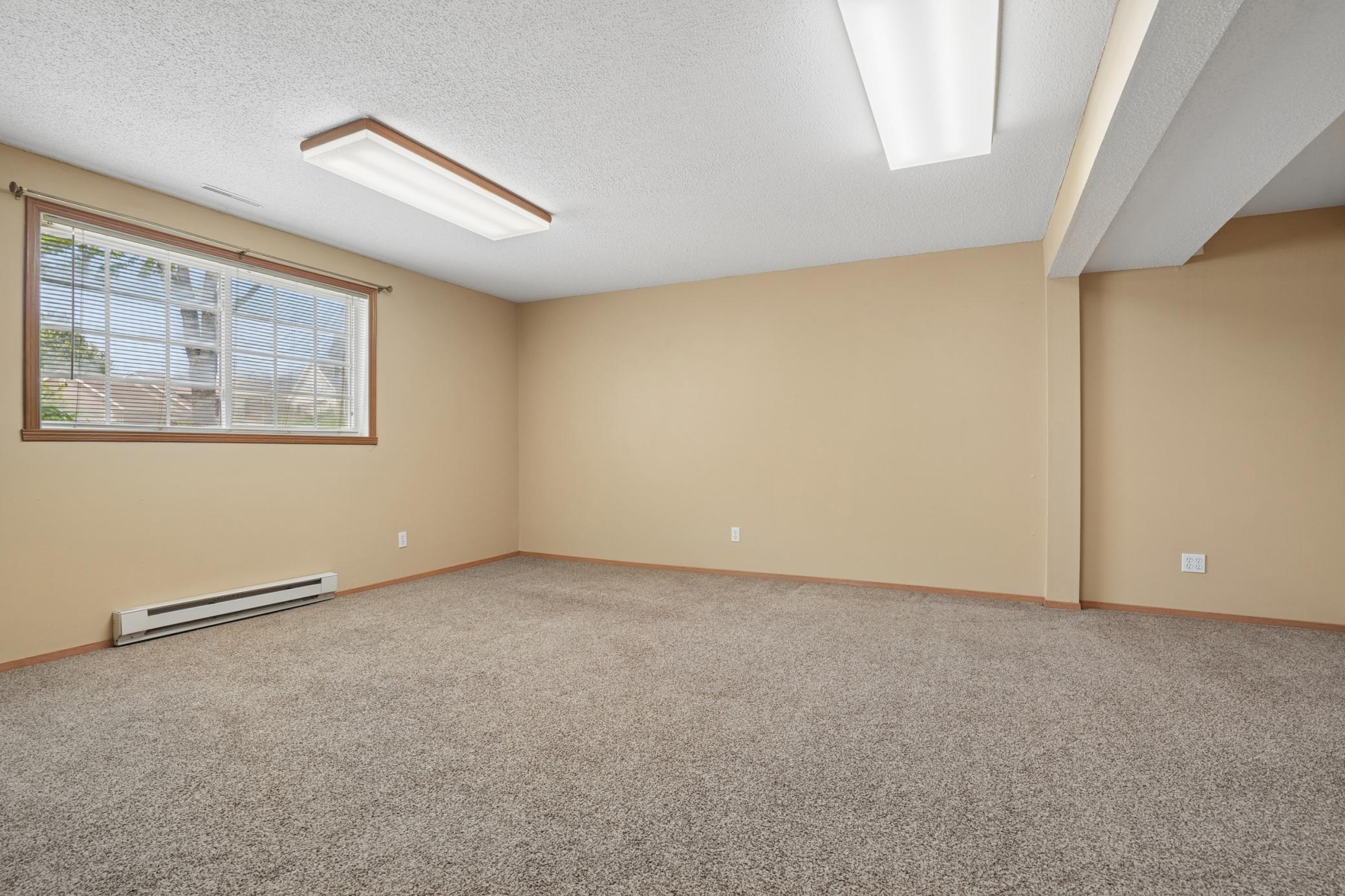 Lower Living Room