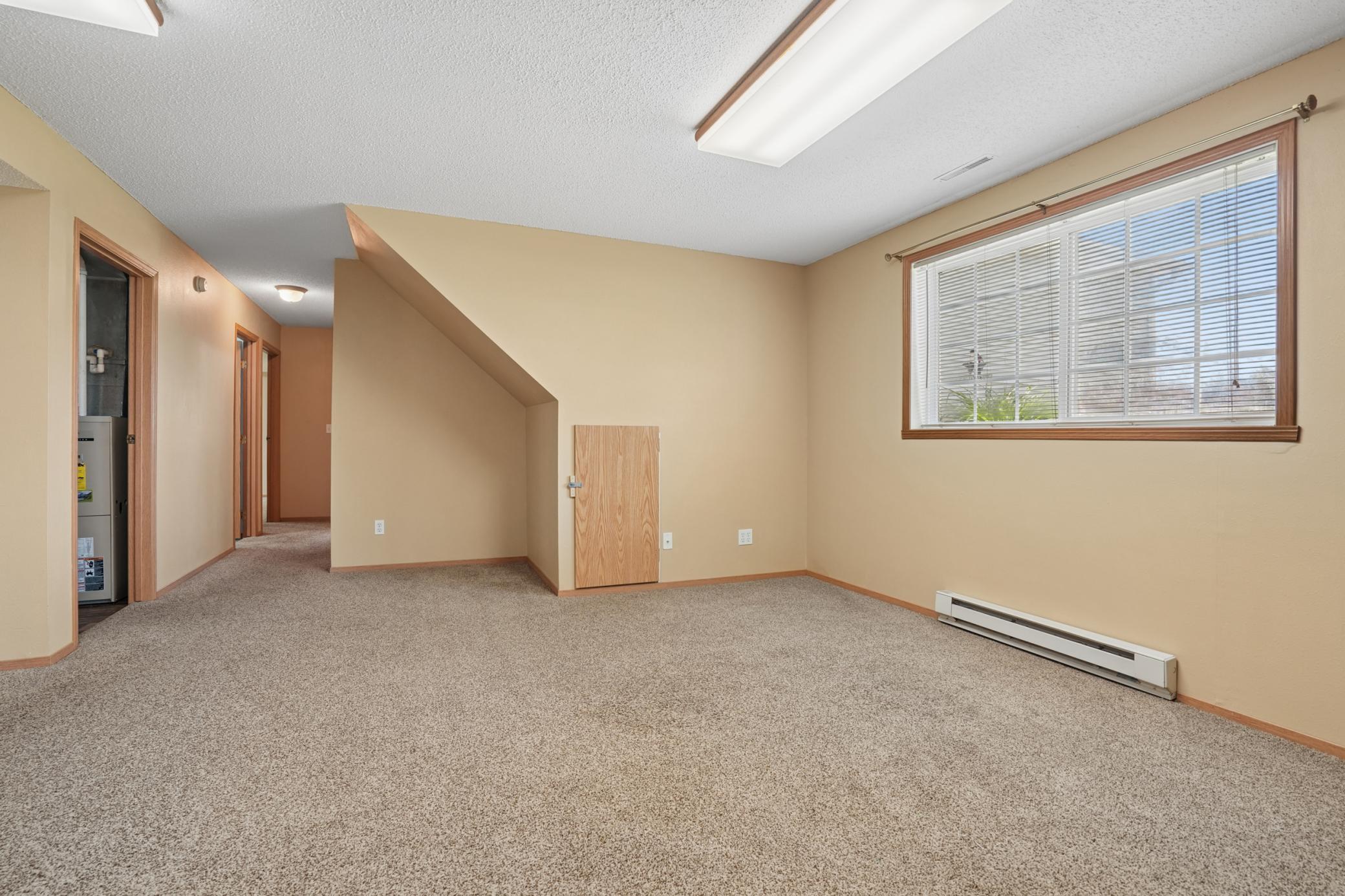 Lower Living Room