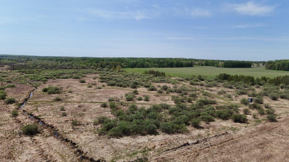 DJI_20260528121423_0112_D.JPG
