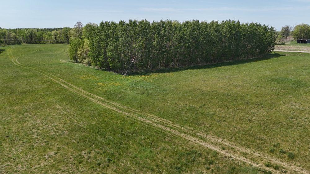 DJI_20260528121812_0126_D.JPG