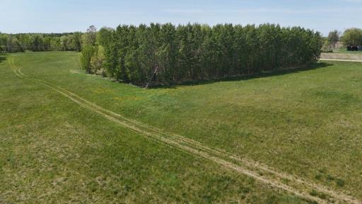 TBD County Highway 36, Frazee, MN 56544