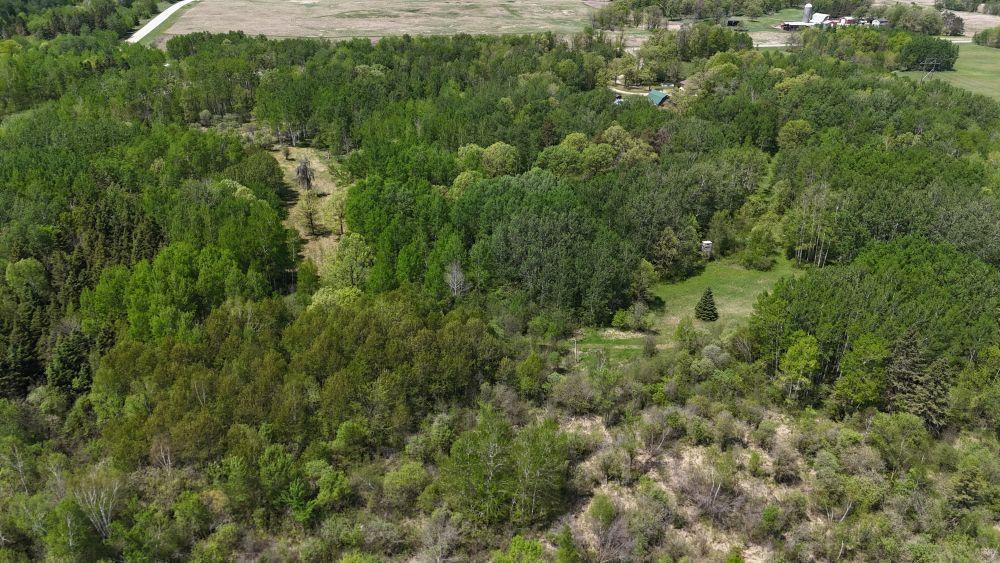 DJI_20260528123339_0160_D.JPG