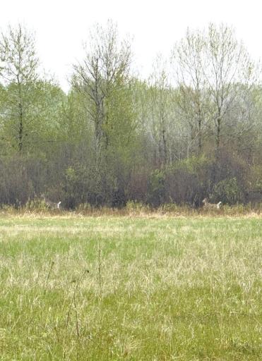 TBD County Highway 36, Frazee, MN 56544