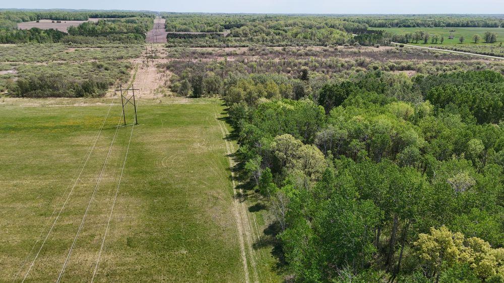 DJI_20260528123033_0150_D.JPG