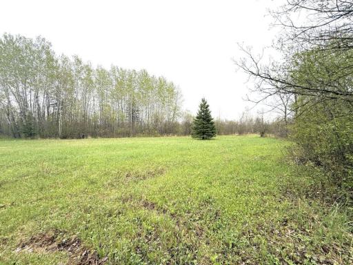 TBD County Highway 36, Frazee, MN 56544