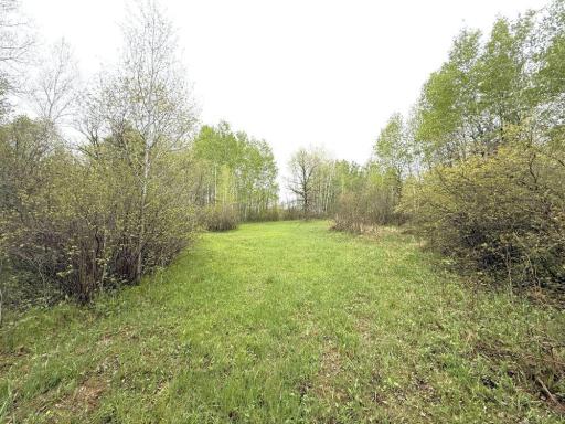 TBD County Highway 36, Frazee, MN 56544