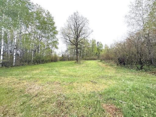 TBD County Highway 36, Frazee, MN 56544