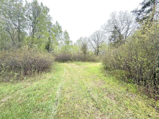 TBD County Highway 36, Frazee, MN 56544