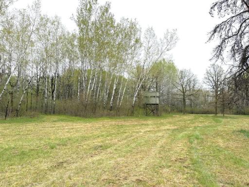 TBD County Highway 36, Frazee, MN 56544
