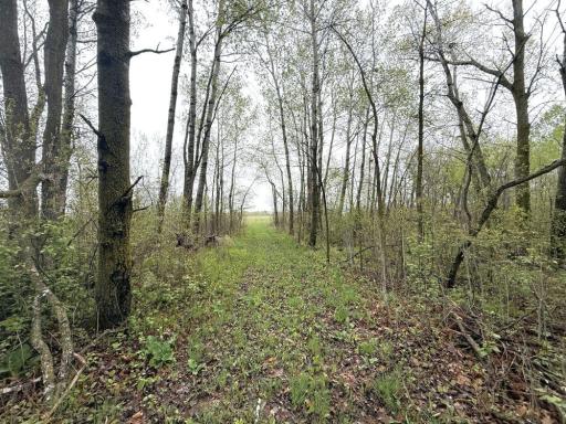 TBD County Highway 36, Frazee, MN 56544