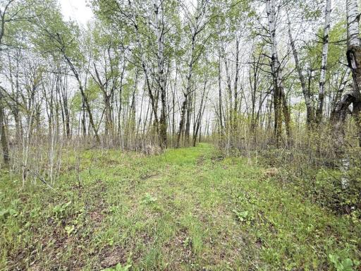 TBD County Highway 36, Frazee, MN 56544