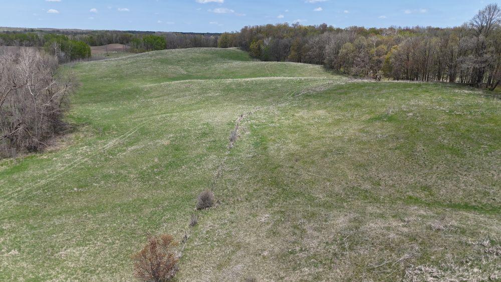 DJI_20260520122443_0036_D - Copy.JPG