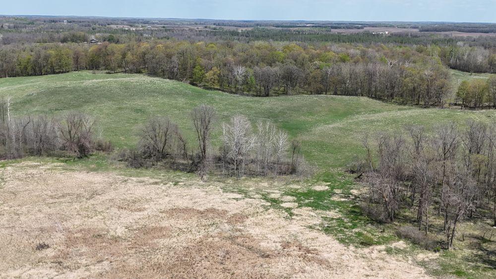 DJI_20260520124613_0079_D.JPG