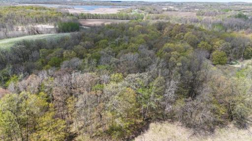 TBD Whiskey Creek Dr, Detroit Lakes, MN 56501