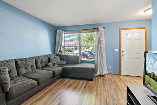 Living Room Area - Bright and Light with South and West Exposure