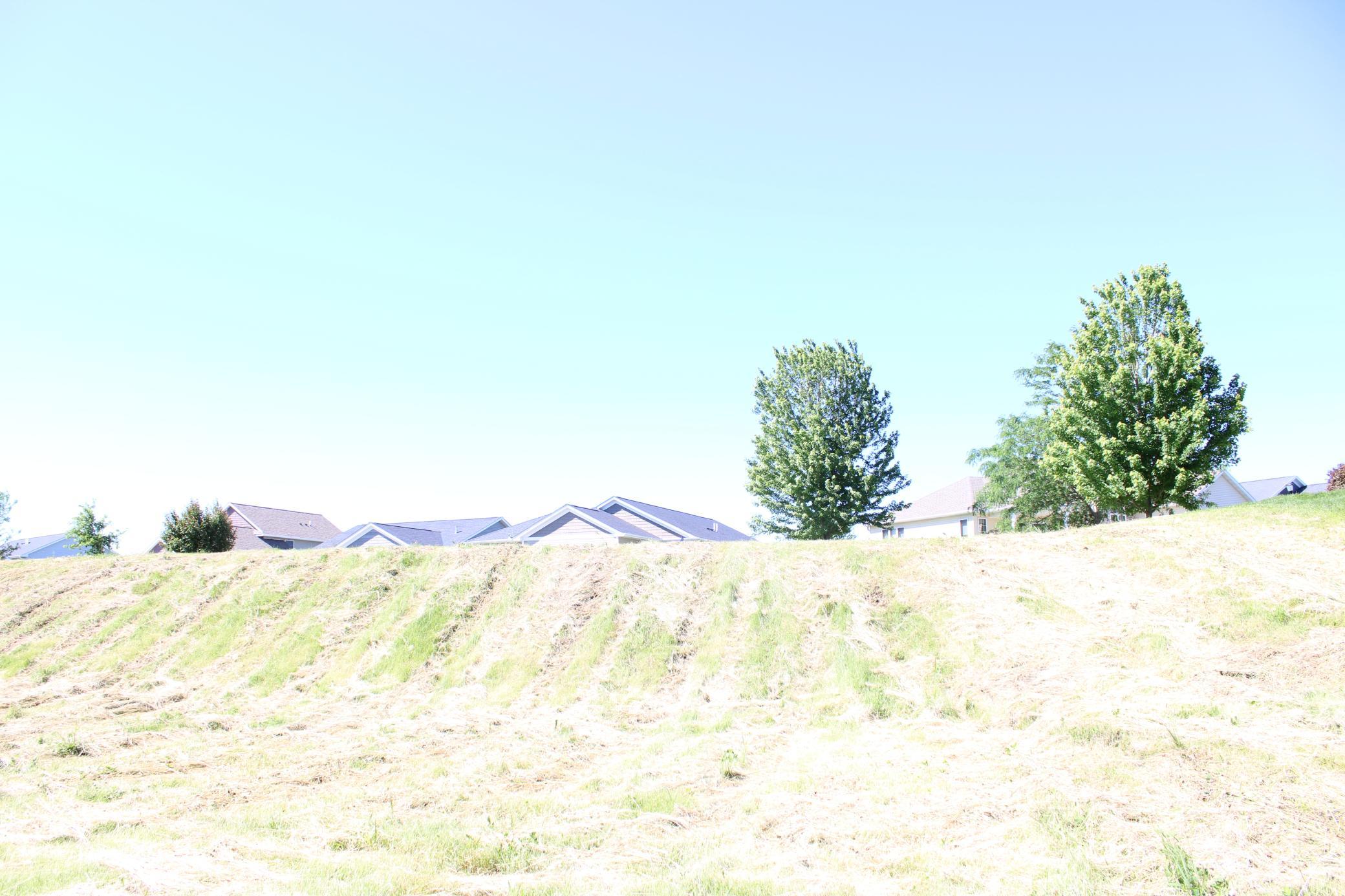 View looking up towards the Street, from treeline