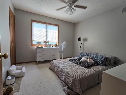One of the three or four bedrooms. Carpeted and easy on your feet before or after sleep!