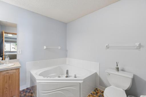 3951 Landings Drive, Saint Bonifacius, MN 55375
