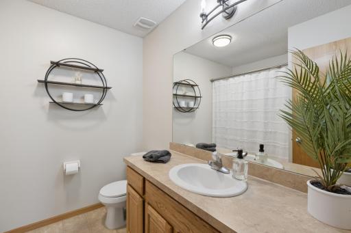 3951 Landings Drive, Saint Bonifacius, MN 55375