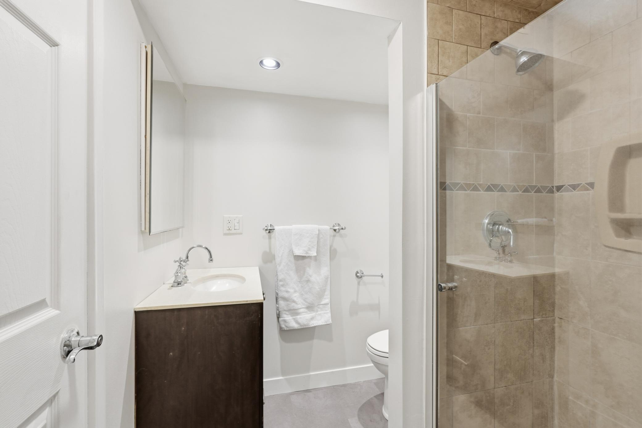 Lower level bathroom.
