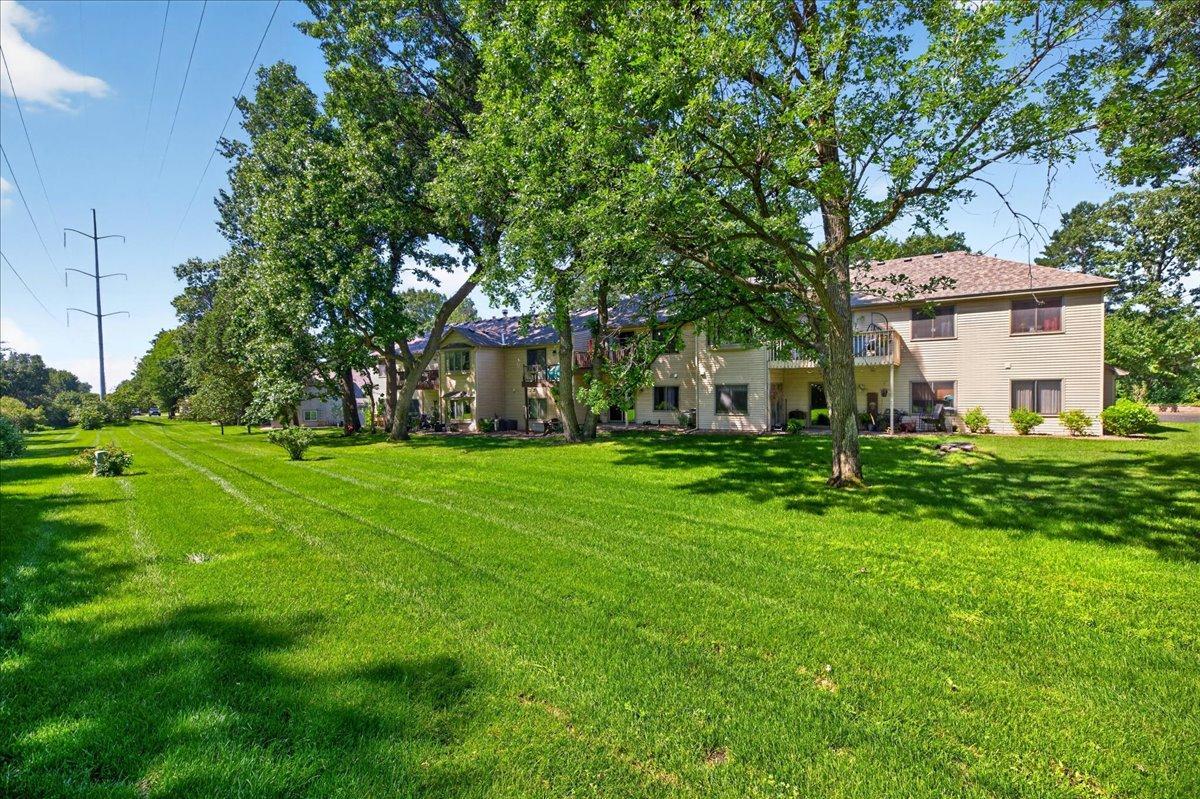 Backyard of the condo, lots of green space!
