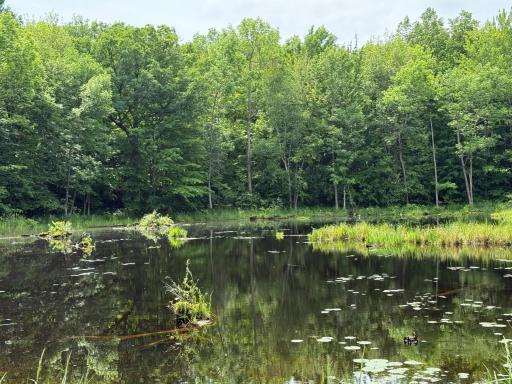 N1785 Lehman Lake Road, Shell Lake, WI 54871