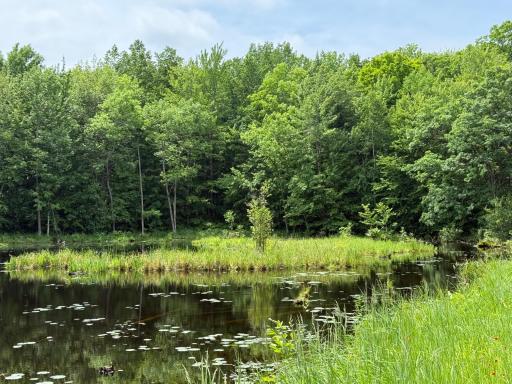 N1785 Lehman Lake Road, Shell Lake, WI 54871