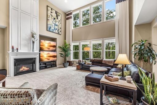 Welcome to 1179 Maple Lane W - Roseville