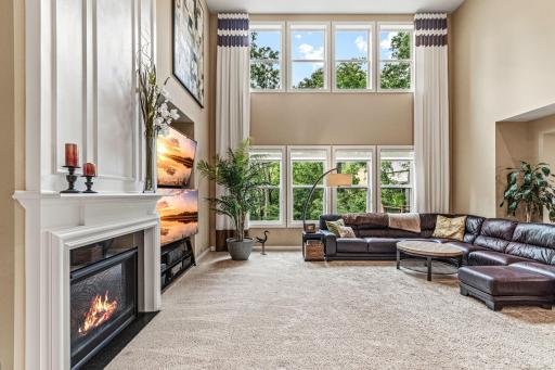 Welcome to 1179 Maple Lane W - Roseville