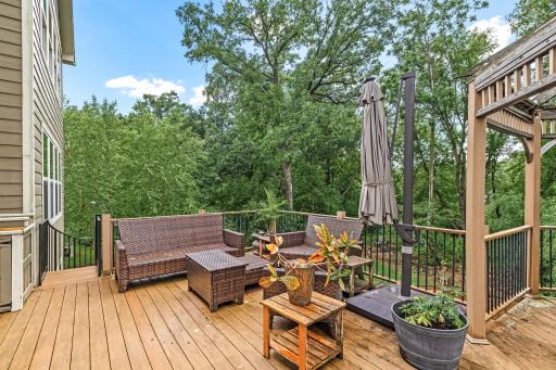 Welcome to 1179 Maple Lane W - Roseville