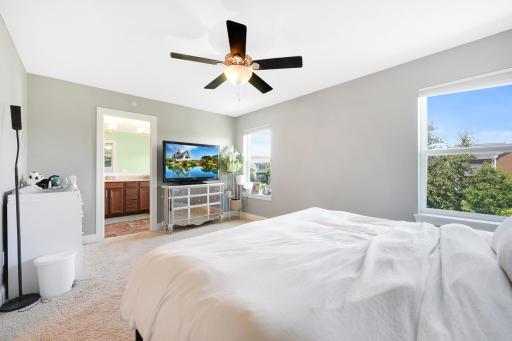 The primary bedroom and bathroom is your private oasis! Big room, walk-in closet with shelving storage system, and a truly extraordinary private bathroom.