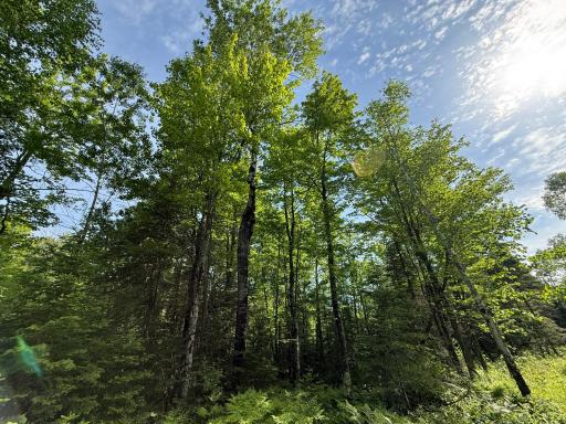 TBD Arnold Rd., Duluth, MN 55803
