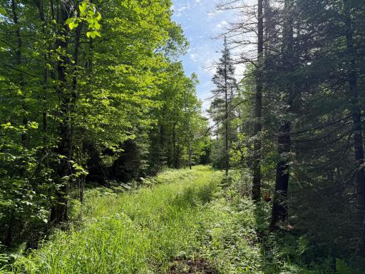 TBD Arnold Rd., Duluth, MN 55803