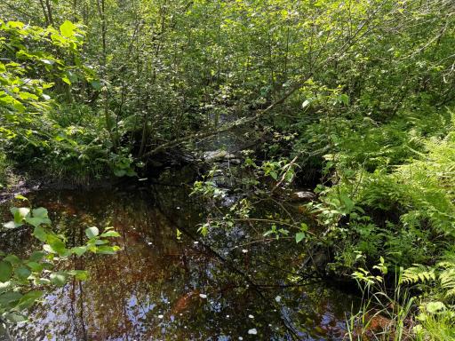 TBD Arnold Rd., Duluth, MN 55803