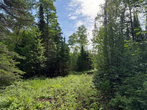 TBD Arnold Rd., Duluth, MN 55803