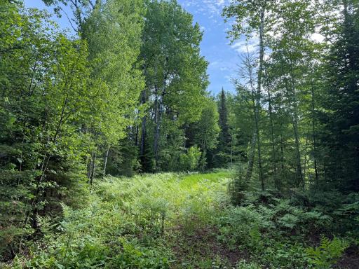 TBD Arnold Rd., Duluth, MN 55803