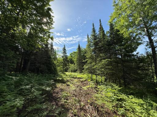 TBD Arnold Rd., Duluth, MN 55803