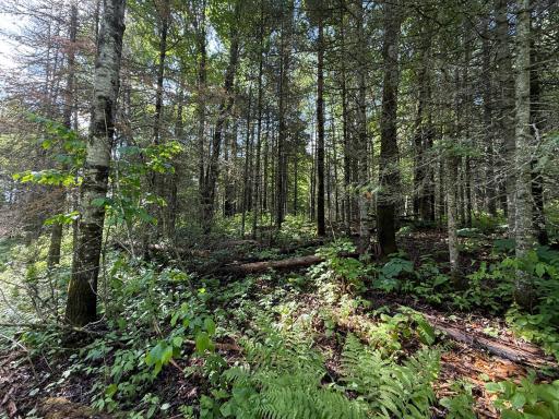 TBD Arnold Rd., Duluth, MN 55803