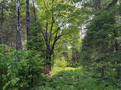 TBD Arnold Rd., Duluth, MN 55803