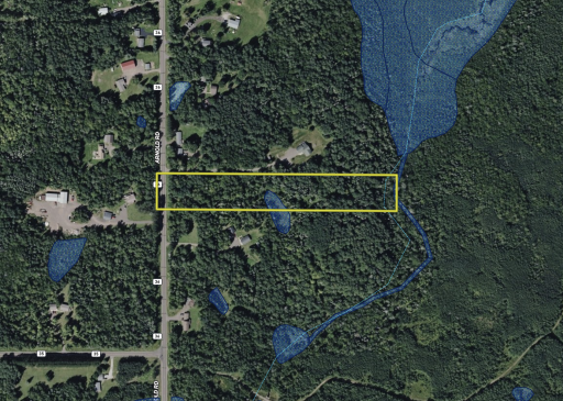 TBD Arnold Rd. wetland layer and stream layer.png