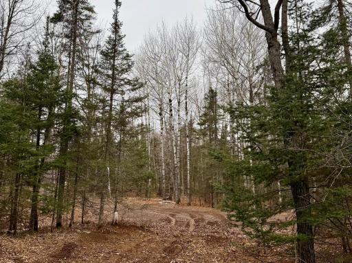 TBD Arnold Rd., Duluth, MN 55803
