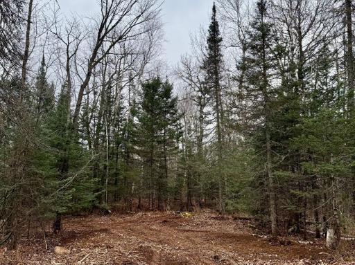 TBD Arnold Rd., Duluth, MN 55803