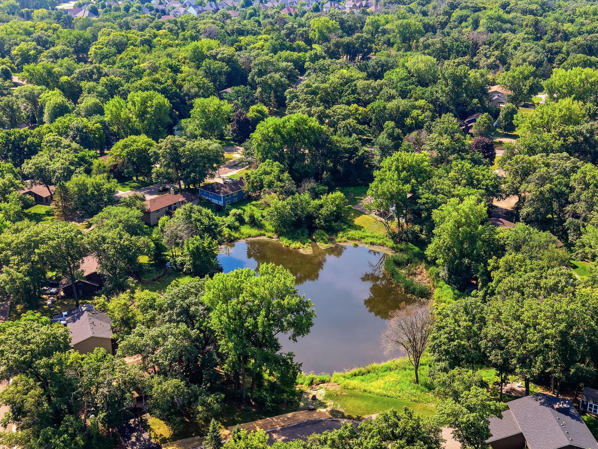 Aerial view of the neighborhood