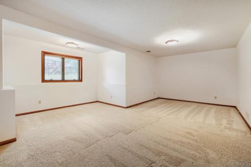 The expansive lower-level family room offers an incredible amount of flexible living space, making it the perfect place for entertaining, relaxing, or creating multiple activity zones. Featuring brand-new plush carpeting!