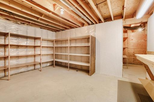 One of the home's hidden gems is the enormous LL storage area, offering exceptional space to keep your home organized. Whether you need room for seasonal decorations, tools, keepsakes, or bulk household items, you'll have more than enough room
