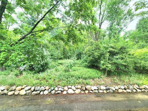 Enjoy this view from your patio, kitchen window, bedroom window and from the living room patio door!