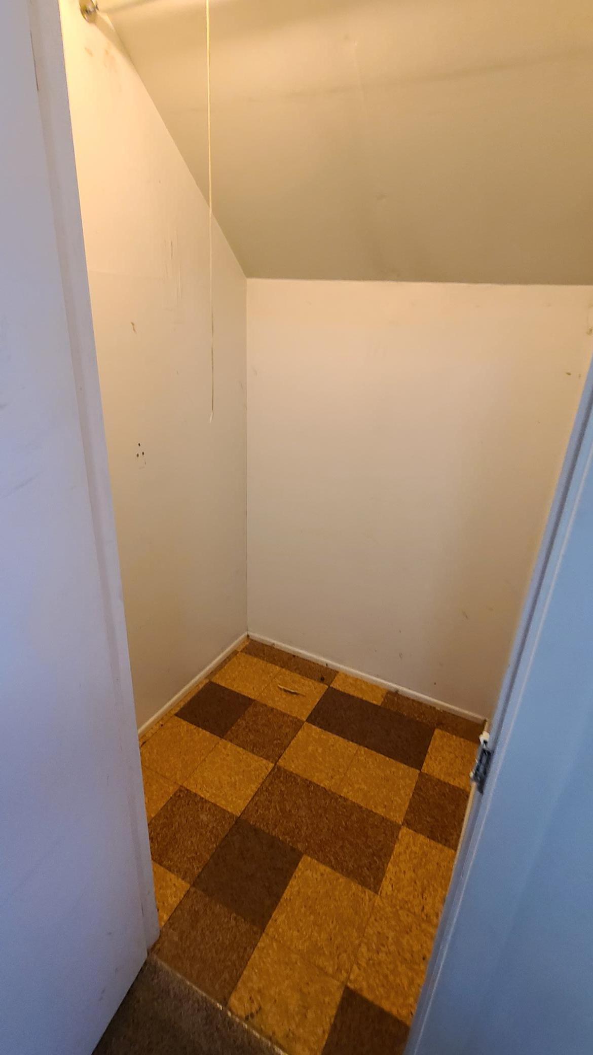 Upper level closet.jpg