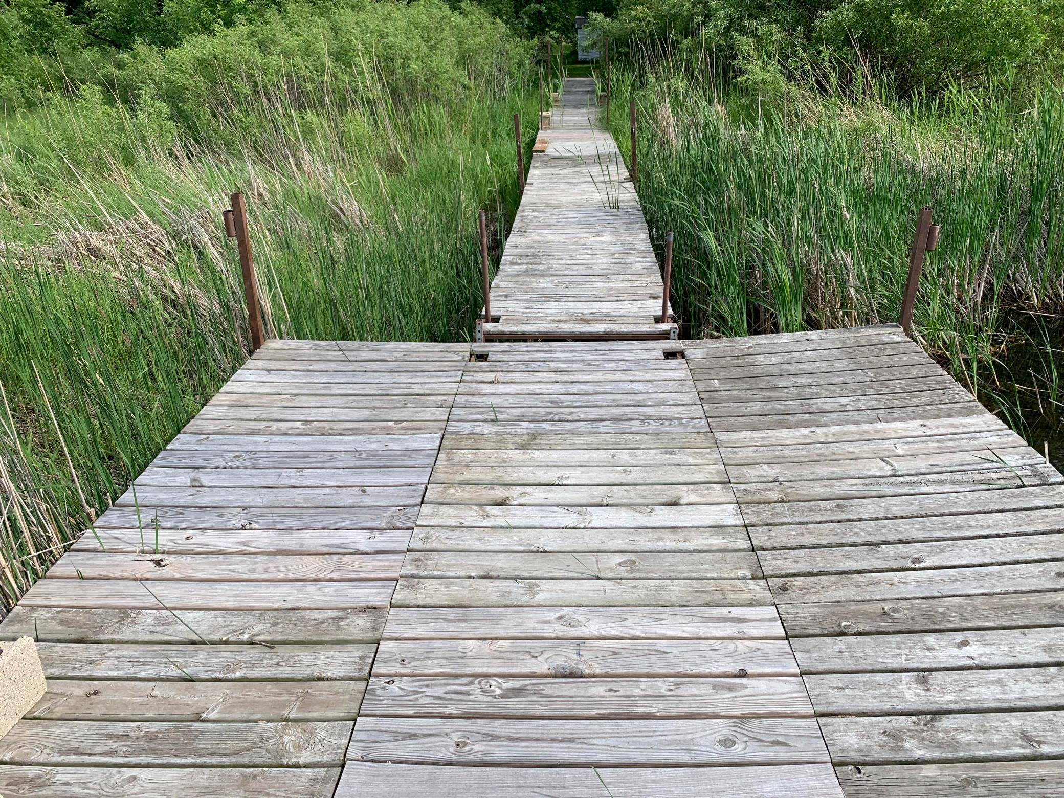 Dock.jpg
